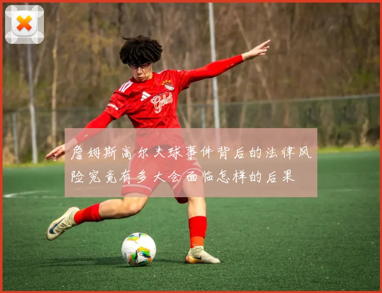 詹姆斯高尔夫球事件背后的法律风险究竟有多大会面临怎样的后果