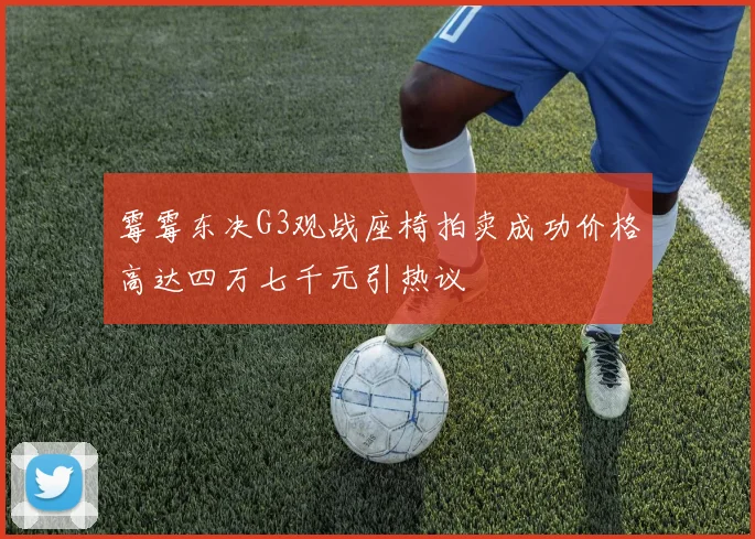 霉霉东决G3观战座椅拍卖成功价格高达四万七千元引热议