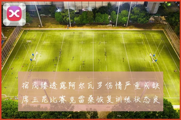 宿茂臻透露阿尔瓦罗伤情严重或缺席玉昆比赛克雷桑恢复训练状态良好